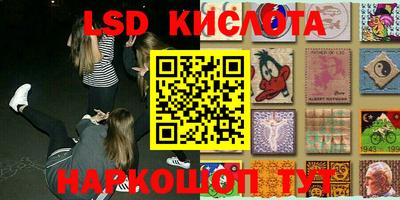 прущие грибы Кулебаки