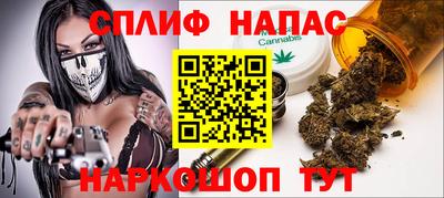 сатива Кунгур